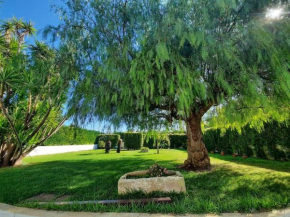 Apulian House Garden